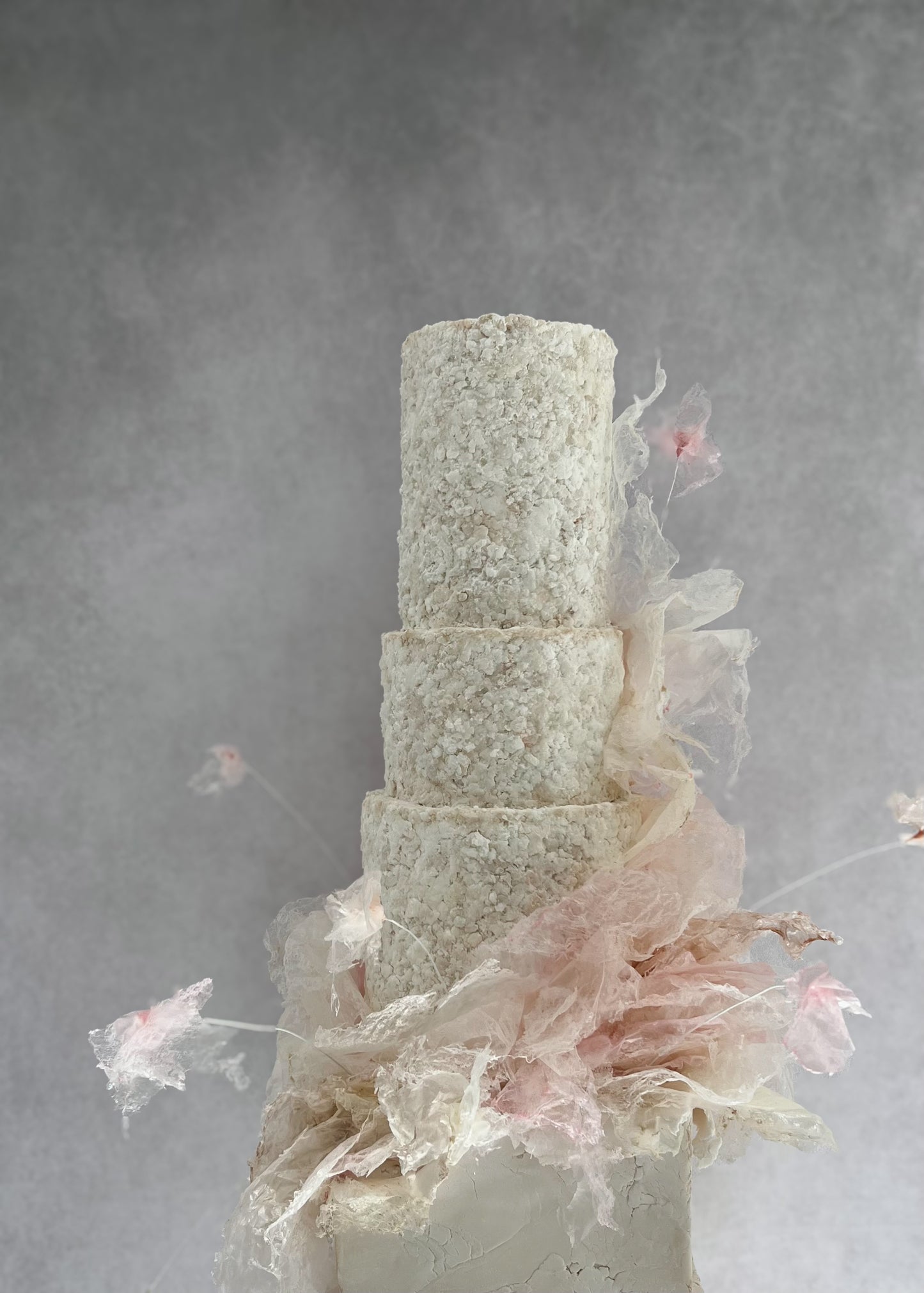 Salt Effect Fondant with Edible Lace with Cake Buds- 17th March 2025